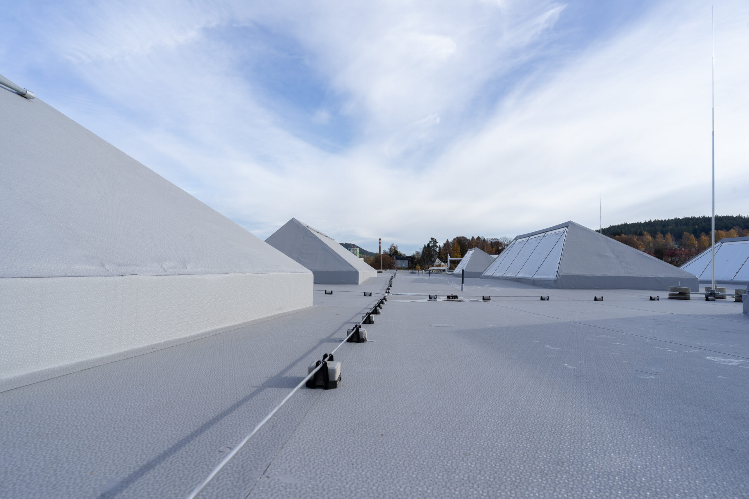 Witte_final11
